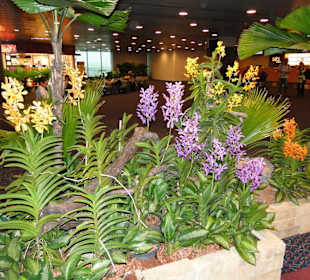 Changi Airport