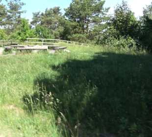 Früchtetrauf - Wurmlinger Kapellenwegle