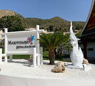 Schmetterlingspark Benalmadena