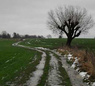 Zwischen Lützenkirchen und Burscheid