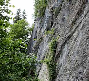 Grünten / Burgberger Hörnle