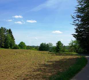 Wanderung zum Bärenfels