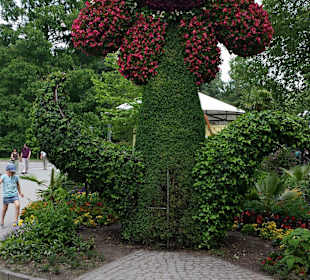Insel Mainau