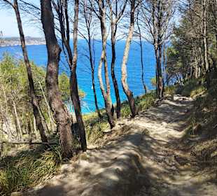 Wandern Alcudia