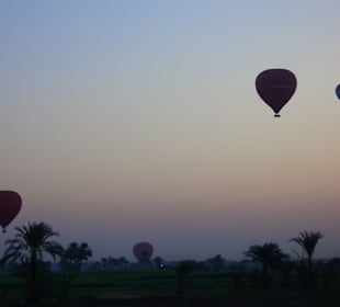 Heißluftbalons bei Ihrer Fahrt im Morgengrauen