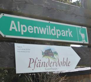 Alpenwildpark Pfänder - Wegweiser