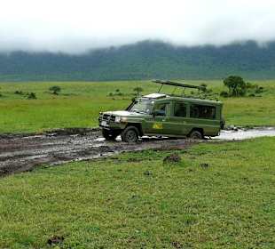 Regenzeit ist Pfützenzeit