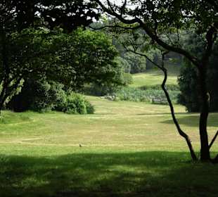 Spaziergang durch den Parque da Cicade