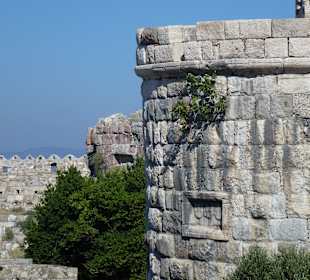 Kos