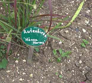 ALB-GOLD Naturgarten