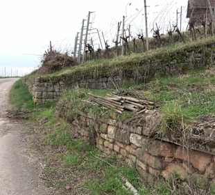 Unterjesinger Wengertwegle