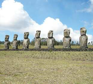 Моаи с острова Пасхи.