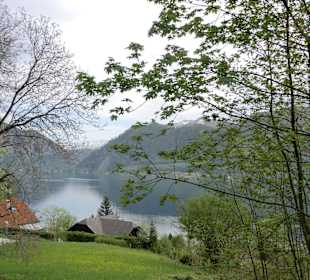 Ansicht auf den Attersee