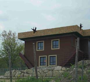 Berg Schneekoppe/Śnieżka