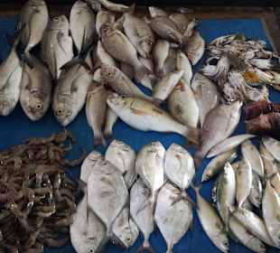 Fischmarkt Trincomalee