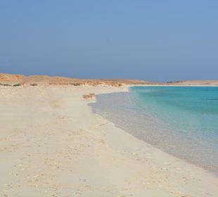 Delphinsafari mit Mo