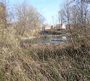 Rundwanderung Haimhausen