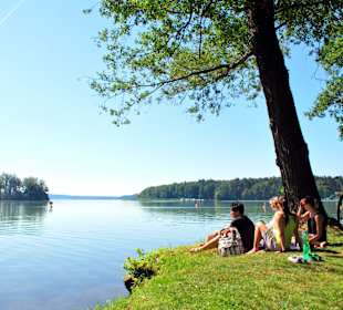 Der See @Tourismusverein Scharmützelsee e.V