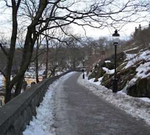 Freilichtmuseum Skansen