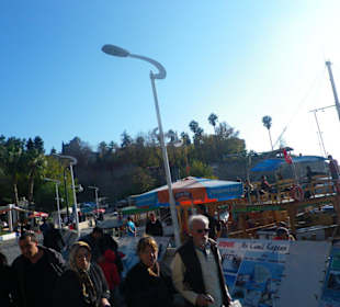 Am Hafen
