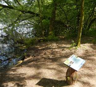 Naturschutzgebiet Boberger Niederung
