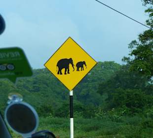 Elephant's sign
