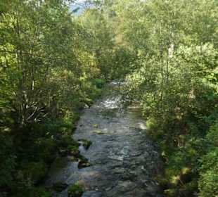 Wunderbare Wanderung am Großen Regen