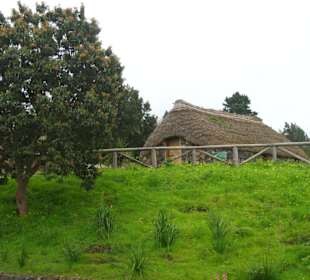 Grüner Teil der Insel