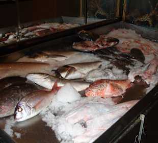 Fische