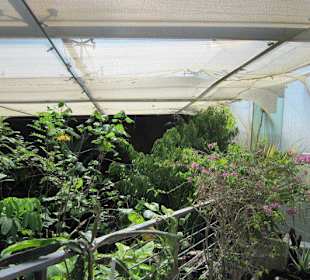 Das Schmetterlingshaus Villa Garzoni