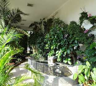 Rundgang durch die Orangerie des Schlosses