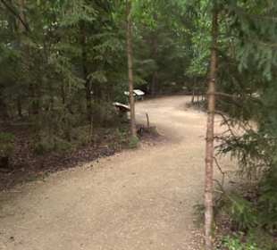 Dinosaurier Museum Altmühltal