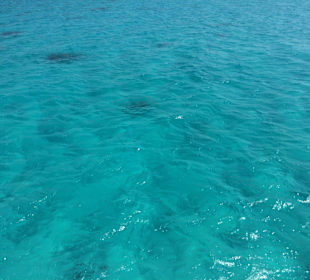 Kristallklares Wasser