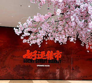 Dubai Mall China Town