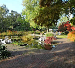 Rundgang durch das herbstliche "Planten un Blomen"