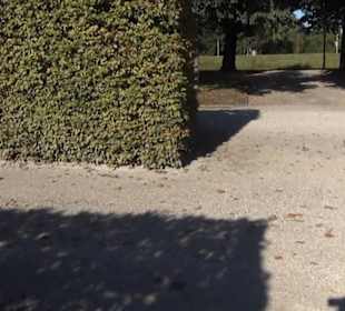 Irrgarten