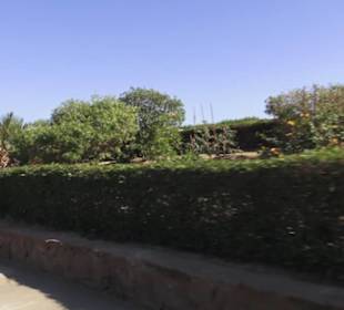 Stadtbesichtigung El Gouna