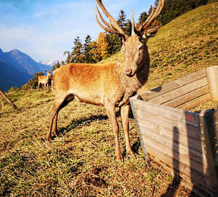 Wandergebiet Schennaberg