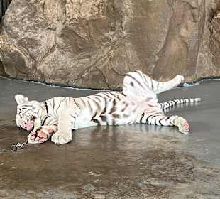 Khao Sam Roi Yot National Park