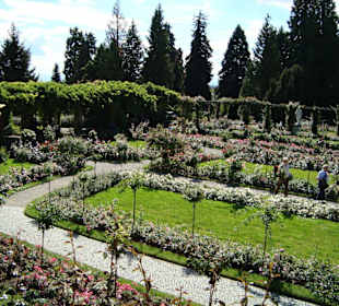 Italienischer Rosengarten