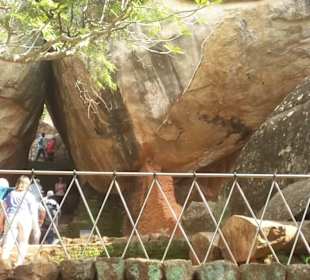 Elefantenreiten Sigiriya