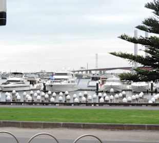 Mit  der City CircleTram in Melbourne unterwegs