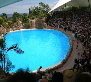 Delphinarium