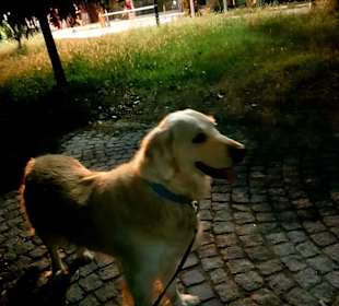 Wandern Evrenseki 