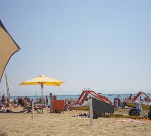 Reges Treiben im Spätsommer