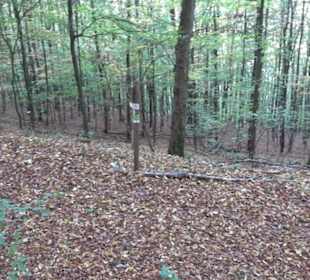Premiumwanderweg "hochgehkeltert" Öschingen