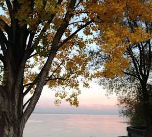 Herbsttag im Kreuzlinger Seepark