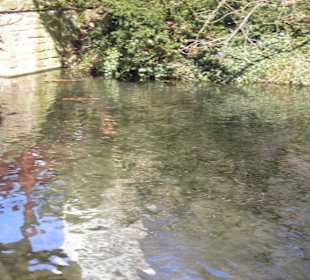 See im Japanischen Garten