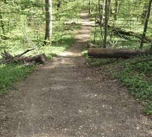 Wanderweg Hochgehwachsen