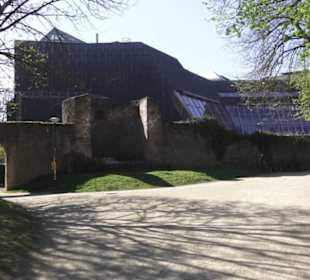 Rheinisches Landesmuseum